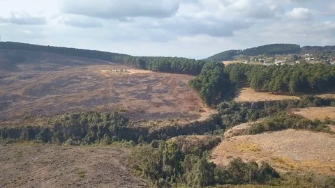 Flight over small ravine in logged forestry region on cloudy day Video stock 78584443