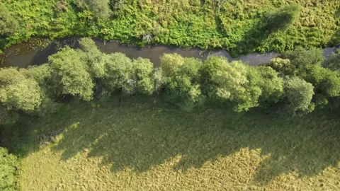 Flight over the small river Krushma Stock-Footage 254066604