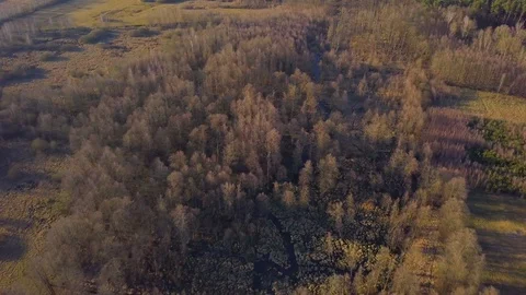 Flight over small river in spring forest. 4k aerial video Stock Footage 127794211
