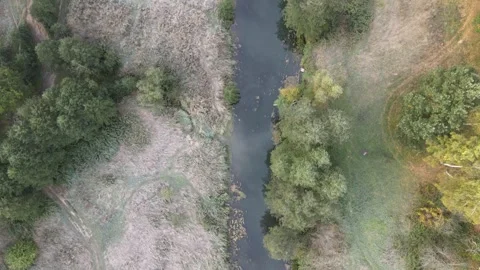 Flight over the small river Vashana, forest and wild nature Stock-Footage 254066692