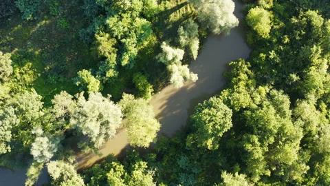 Flight over a small river with a waterfall Stock Footage 135039693