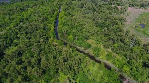 Flight over a small wild meandering river Stock Footage 83624627
