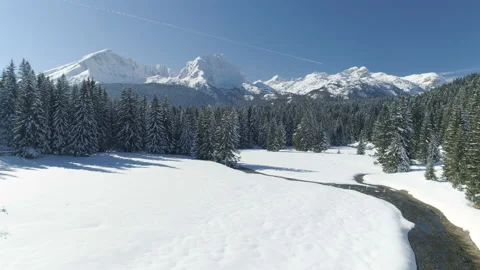 Flight over the snow-covered spruce forest with mountains in the background Stock Footage 102773040