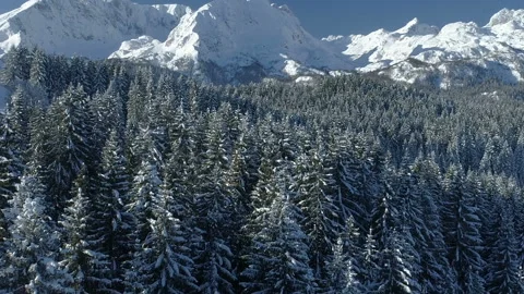 Flight over the snow-covered spruce forest with mountains in the background Stockbeeldmateriaal 102776837