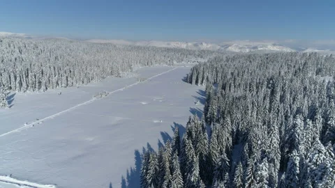 Flight over the snow-covered spruce forest with mountains in the background Stock Footage 147078355