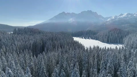 Flight over the snow-covered spruce forest with mountains in the background Stock Footage 147095314