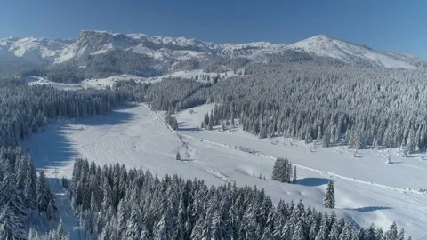 Flight over the snow-covered spruce forest with mountains in the background Video stock 147098640