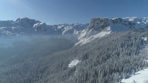 Flight over the snow-covered spruce forest with mountains in the background Stock Footage 147109227