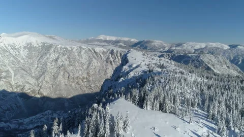 Flight over the snow-covered spruce forest with mountains in the background Stock Footage 147145128