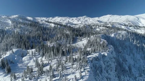 Flight over the snow-covered spruce forest with mountains in the background Video stock 147152854