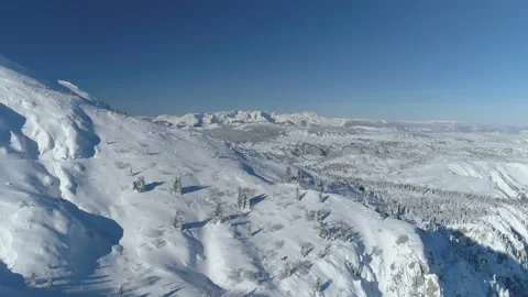 Flight over the snow-covered spruce forest with mountains in the background Stock Footage 147162323
