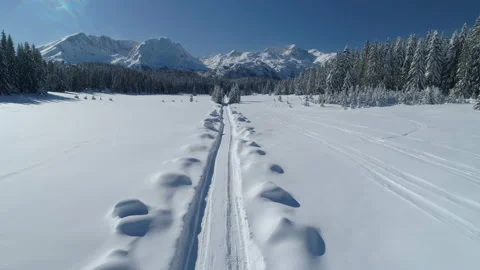 Flight over the snow-covered spruce forest with mountains in the background Stock Footage 147166154