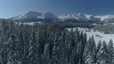 Flight over the snow-covered spruce forest with mountains in the background Video stock 147168941