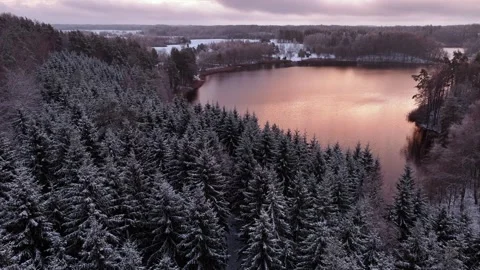 Flight over a snow-covered spruce forest Stock Footage 322028412