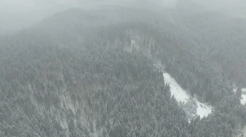 Flight over the snow-covered winter forest Stock Footage 59123302