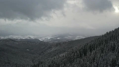 Flight over the snowy Carpathian forest overlooking the mountain Stock Footage 169655363