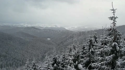 Flight over the snowy Carpathian forest Stock Footage 169655563