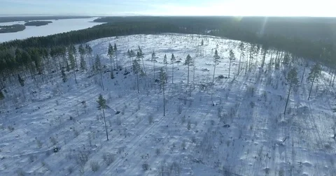 Flight over the snowy forest and field Stock Footage 71935374