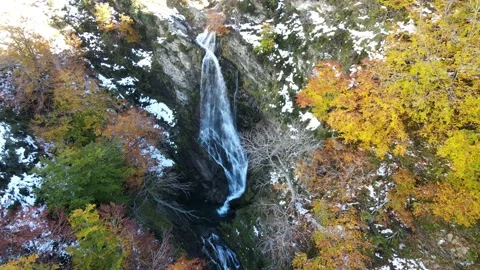 Flight over the snowy landscape with a waterfall and trees with autumn leave Video stock 166199711