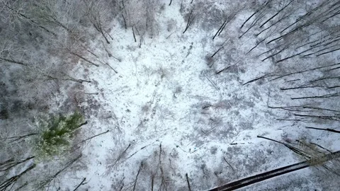 Flight over a snowy path with trees Stock Footage 230888377