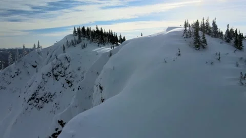 Flight over snowy slope with trees, Sunny Winter Day, Drone Shot Stock Footage 169553993
