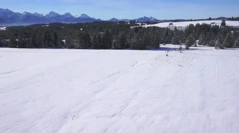 Flight over snowy trees in winter Stock Footage 20524830