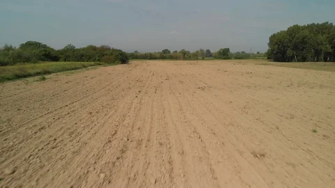 Flight over soil with trees in background Stock Footage 115727343