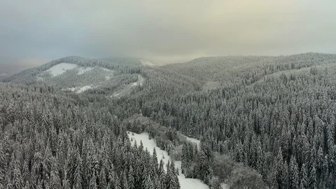 Flight over the spectacular ski slopes in the Carpathians mountains, Panorami Video stock 104883461