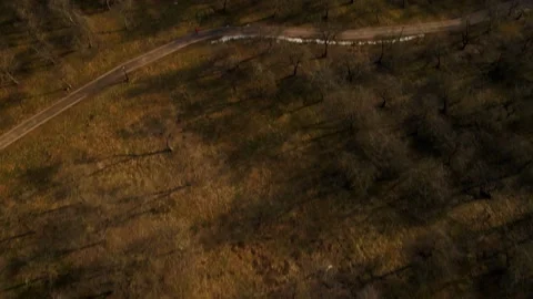 Flight over the spring city park. Walkways are visible. Patterns of park alleys. Stock Footage 150563636