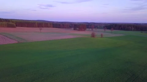 Flight over spring fields at evening. 4k AERIAL footage. Stock Footage 153931556