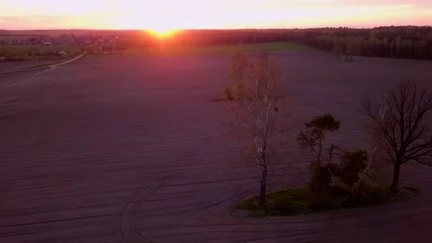 Flight over spring fields at sunset Stock Footage 153931584