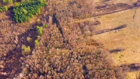 Flight over spring forest and wild river. 4k AERIAL, 3840x2160, 30fps. Stock Footage 104975607