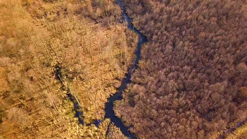 Flight over spring forest and wild river.  Vídeos de archivo 104978034