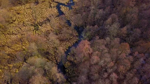 Flight over spring forest and wild river.  Stock Footage 105001049