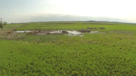 Flight over  spring meadow and  lake. Aerial Stock Footage 38285533