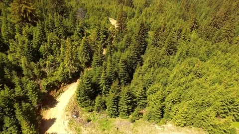 Flight over spring mountains, hills and meadows with pine green forests Video stock 75965761