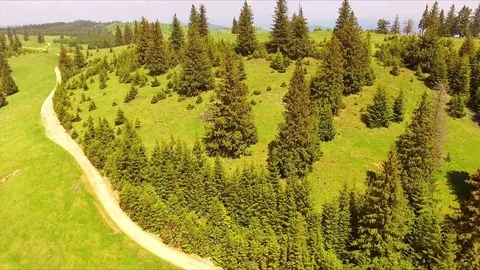 Flight over spring mountains, hills and meadows with pine green forests Stock Footage 75965900