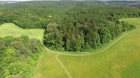 Flight over the spring woods Stock Footage 63868210