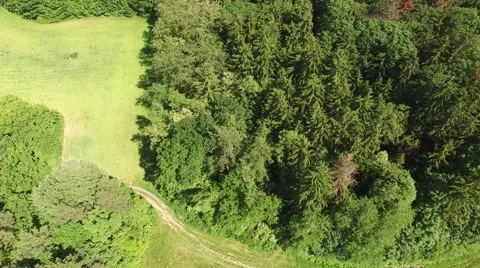 Flight over the spring woods Stock Footage 63868355