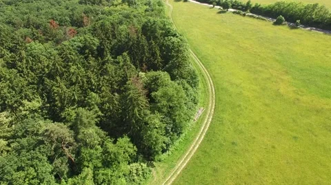 Flight over the spring woods Stock Footage 63868550