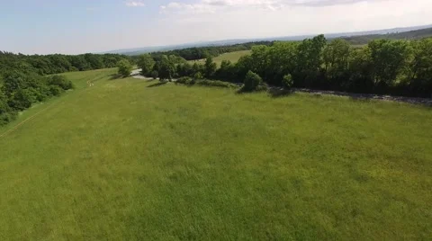 Flight over the spring woods Stock Footage 63868556