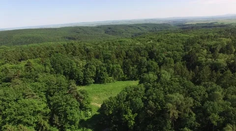Flight over the spring woods Stock Footage 63869665
