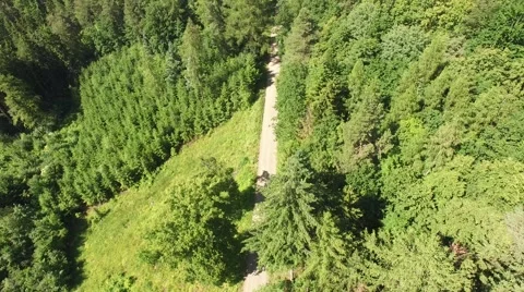 Flight over the spring woods Stock Footage 63938367