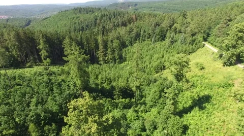 Flight over the spring woods Stock Footage 63943282