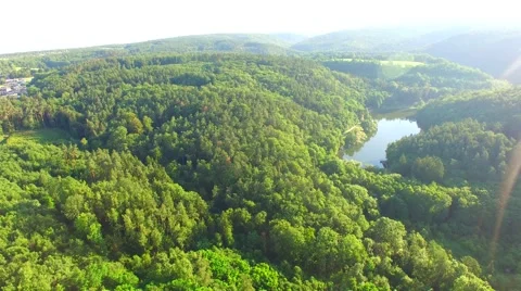 Flight over the spring woods Stock Footage 64463077