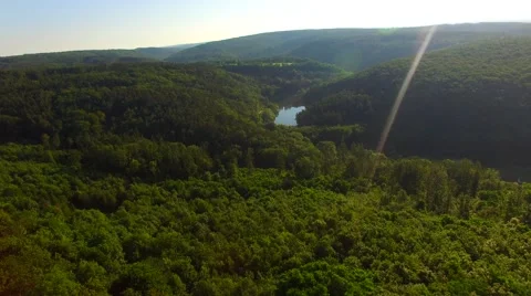 Flight over the spring woods Stock Footage 64463473