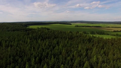 Flight over the spring woods Stock Footage 76582521