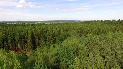 Flight over the spring woods Stock Footage 76594789