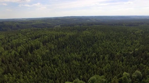 Flight over the spring woods Stock Footage 76595091