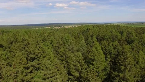 Flight over the spring woods Stock Footage 76595150